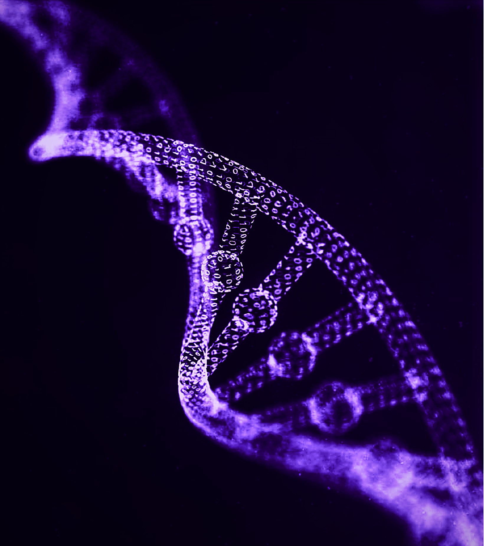 Synthetic DNA helix carrying cryptographically written binary data — the molecular identity used to mark assets.